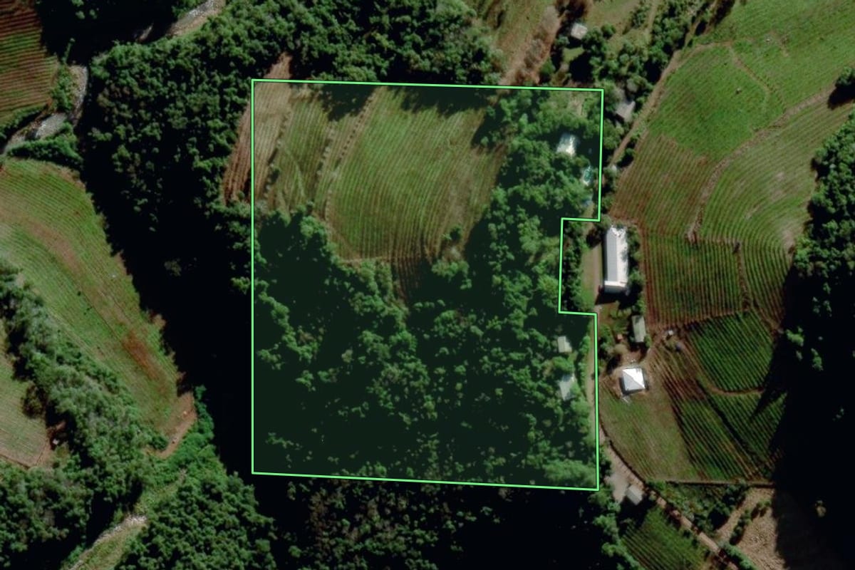 Imagem de satélite do imóvel rural em Bento Gonçalves (RS), com o contorno declarado no CAR desenhado por cima.