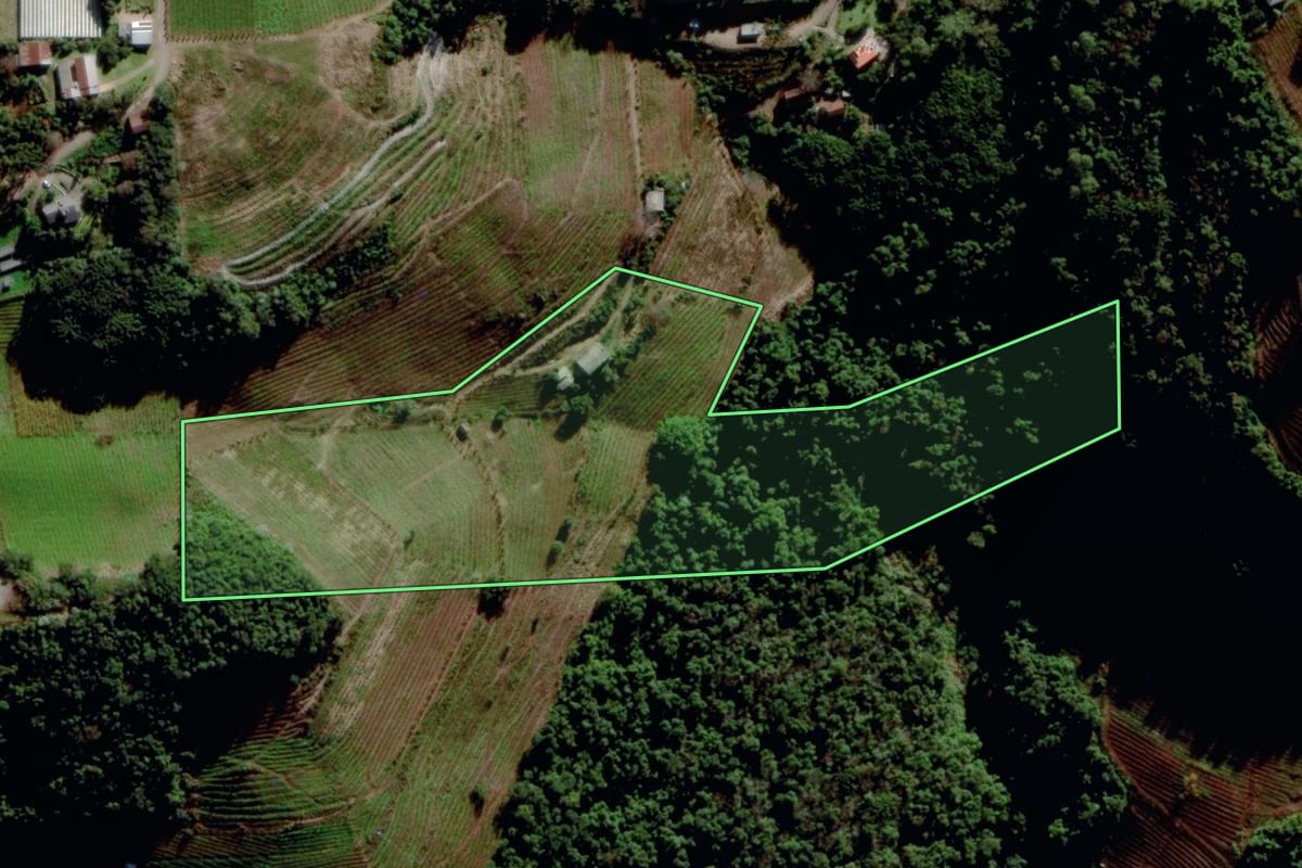 Imagem de satélite do imóvel rural em Bento Gonçalves (RS), com o contorno declarado no CAR desenhado por cima.
