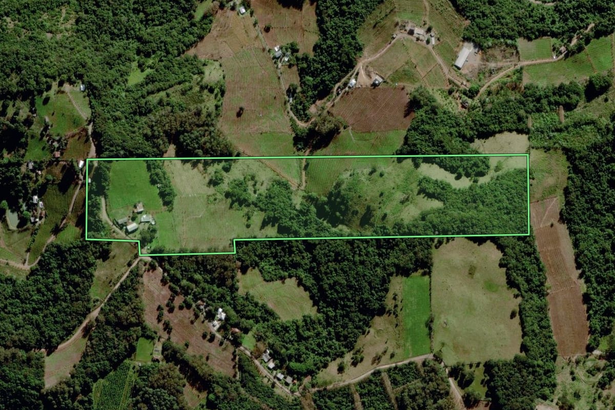 Imagem de satélite do imóvel rural em Bento Gonçalves (RS), com o contorno declarado no CAR desenhado por cima.