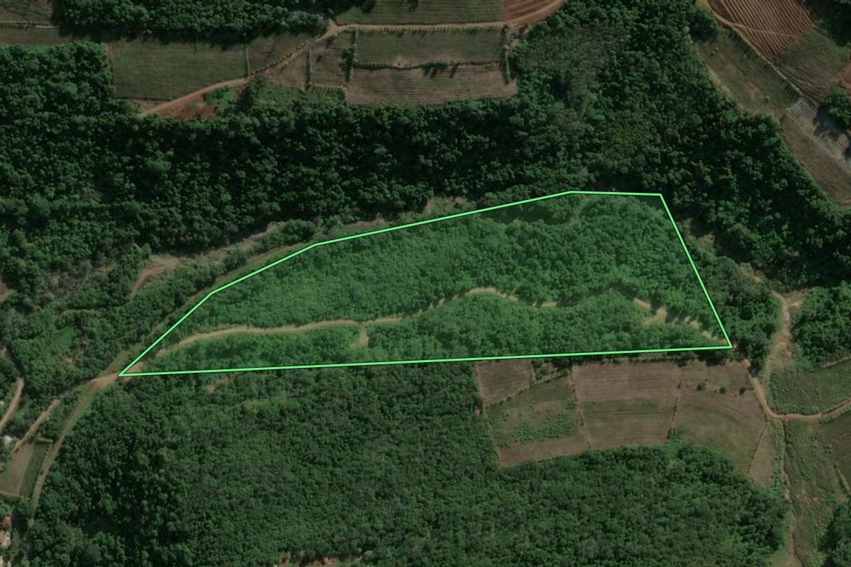 Imagem de satélite do imóvel rural em Bento Gonçalves (RS), com o contorno declarado no CAR desenhado por cima.