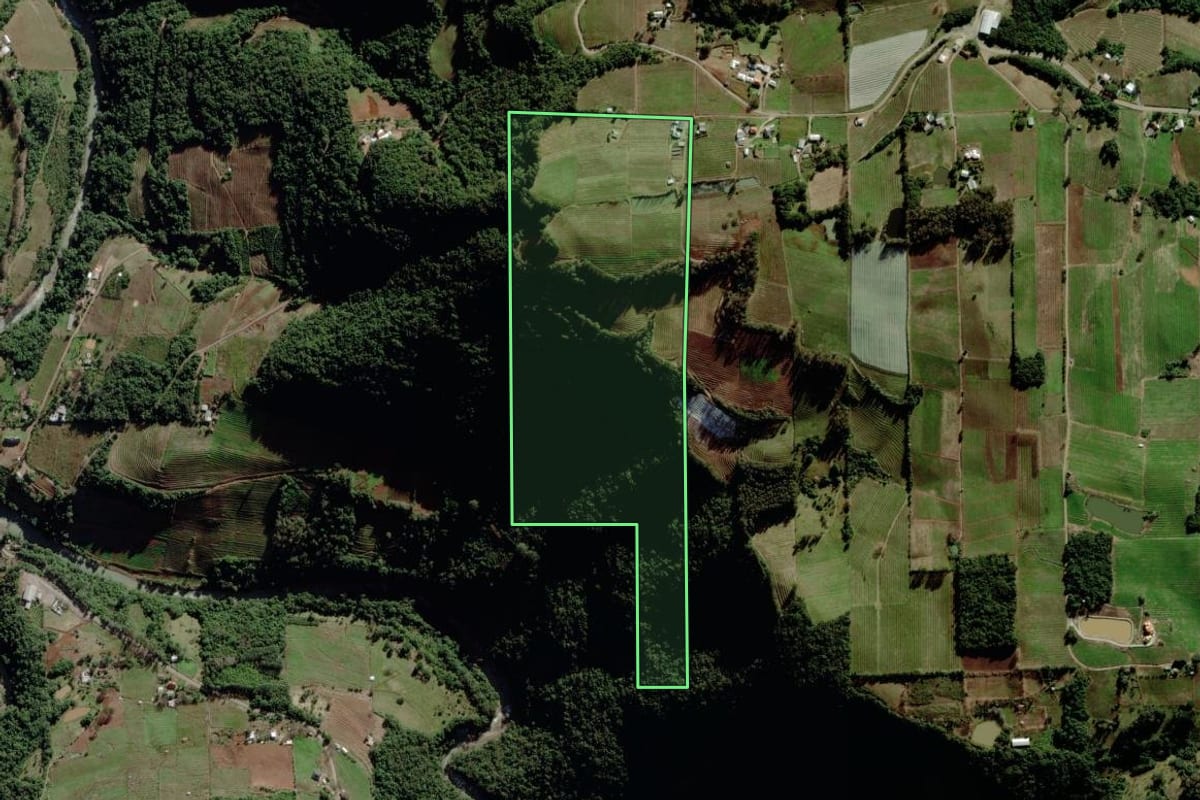 Imagem de satélite do imóvel rural em Bento Gonçalves (RS), com o contorno declarado no CAR desenhado por cima.