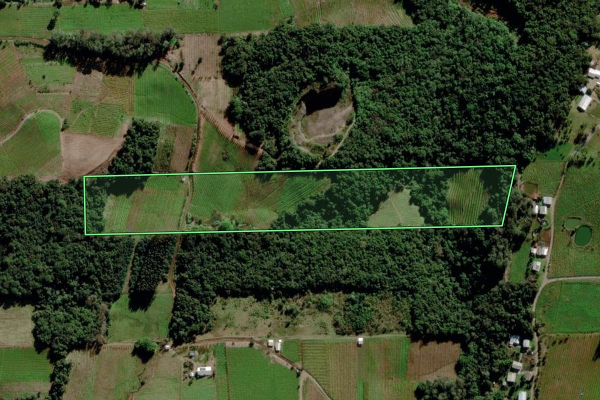 Imagem de satélite do imóvel rural em Bento Gonçalves (RS), com o contorno declarado no CAR desenhado por cima.