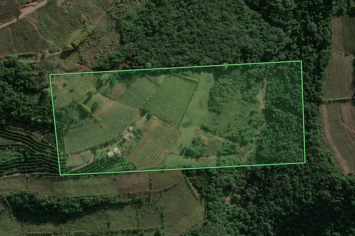 Imagem de satélite do imóvel rural em Bento Gonçalves (RS), com o contorno declarado no CAR desenhado por cima.