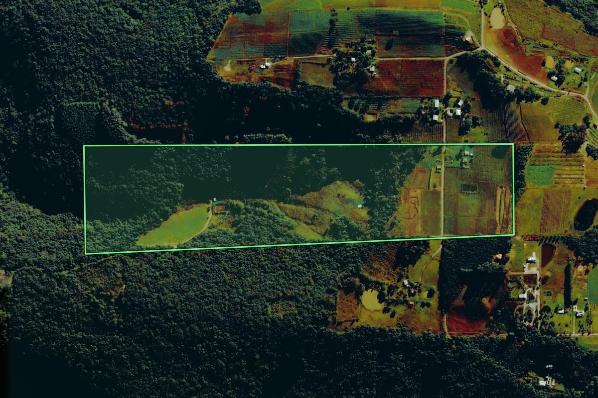 Imagem de satélite do imóvel rural em Pinto Bandeira (RS), com o contorno declarado no CAR desenhado por cima.