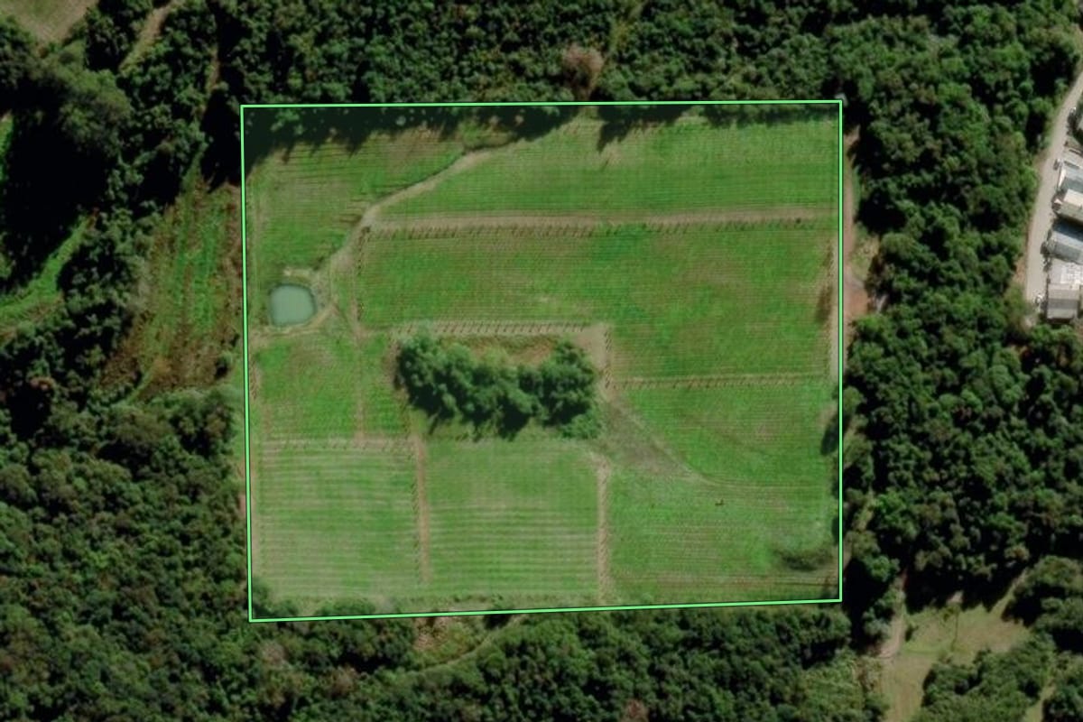 Imagem de satélite do imóvel rural em Bento Gonçalves (RS), com o contorno declarado no CAR desenhado por cima.