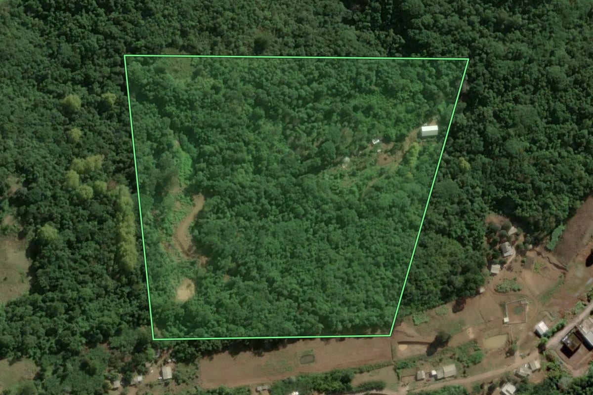 Imagem de satélite do imóvel rural em Bento Gonçalves (RS), com o contorno declarado no CAR desenhado por cima.