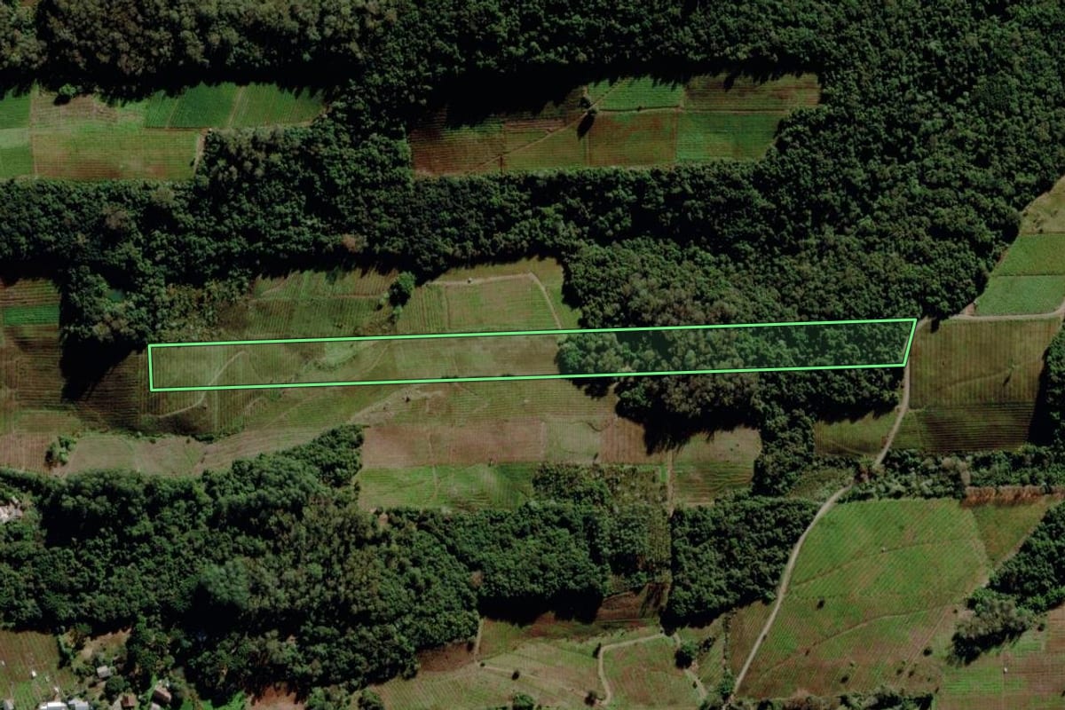 Imagem de satélite do imóvel rural em Bento Gonçalves (RS), com o contorno declarado no CAR desenhado por cima.