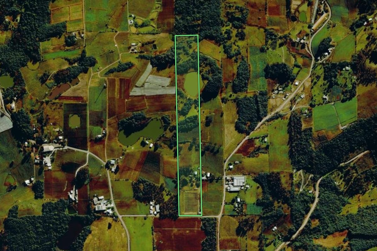 Imagem de satélite do imóvel rural em Bento Gonçalves (RS), com o contorno declarado no CAR desenhado por cima.