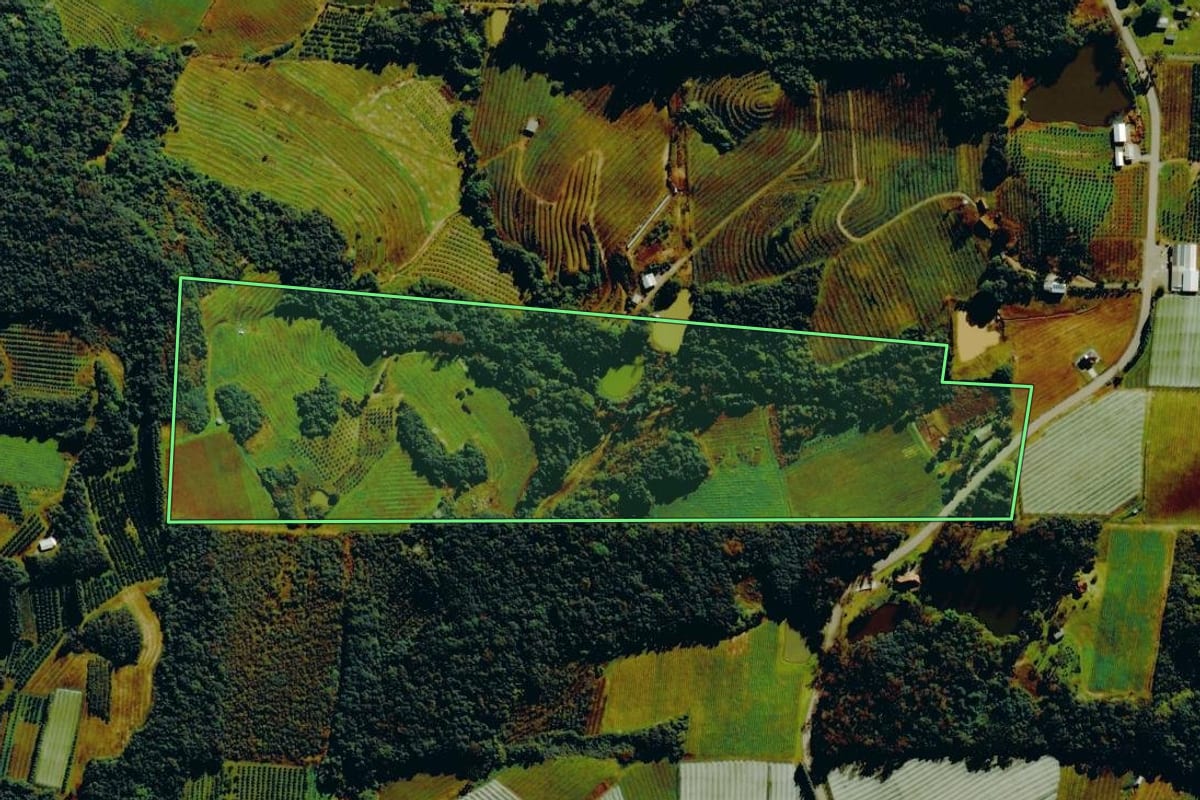 Imagem de satélite do imóvel rural em Bento Gonçalves (RS), com o contorno declarado no CAR desenhado por cima.