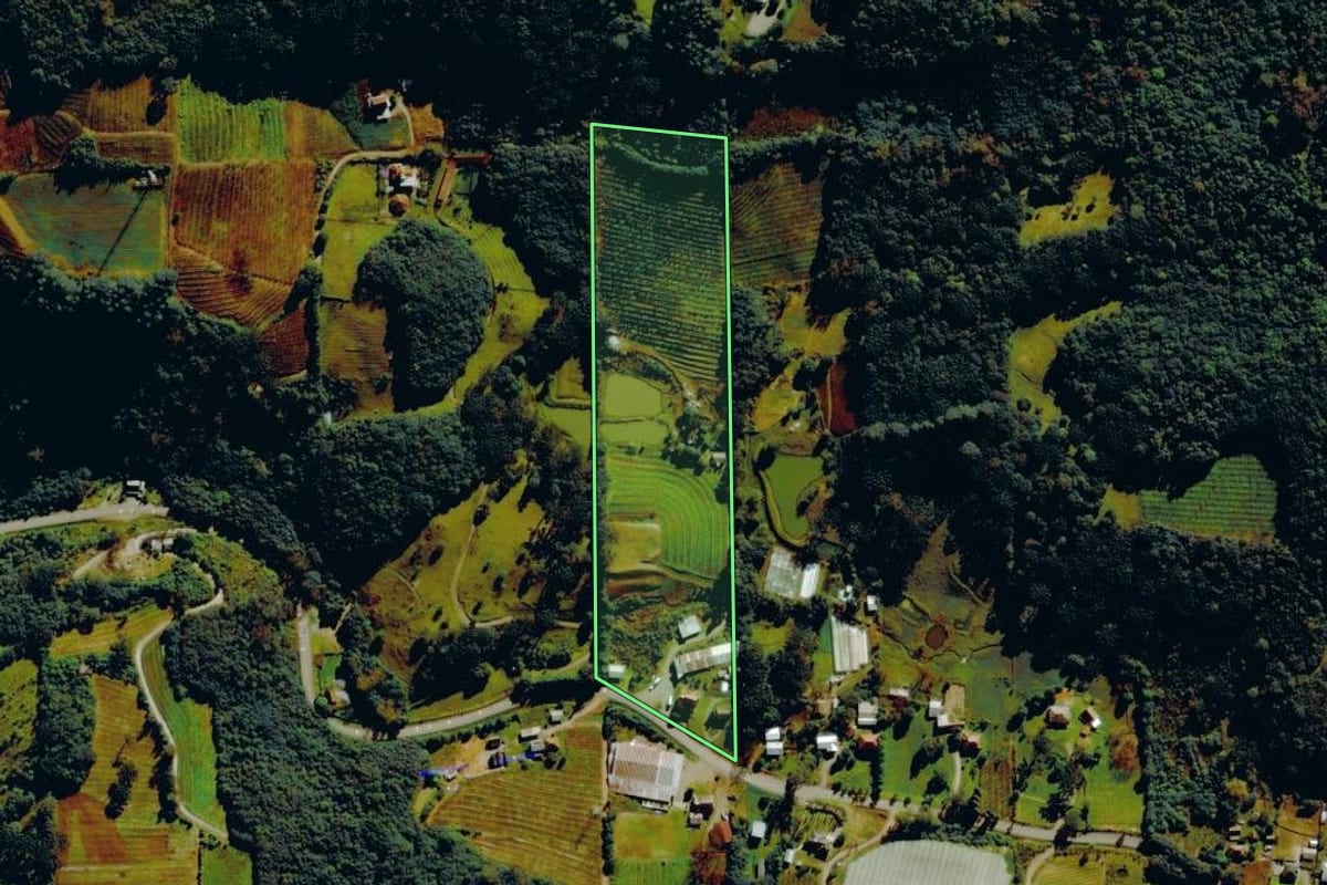 Imagem de satélite do imóvel rural em Bento Gonçalves (RS), com o contorno declarado no CAR desenhado por cima.