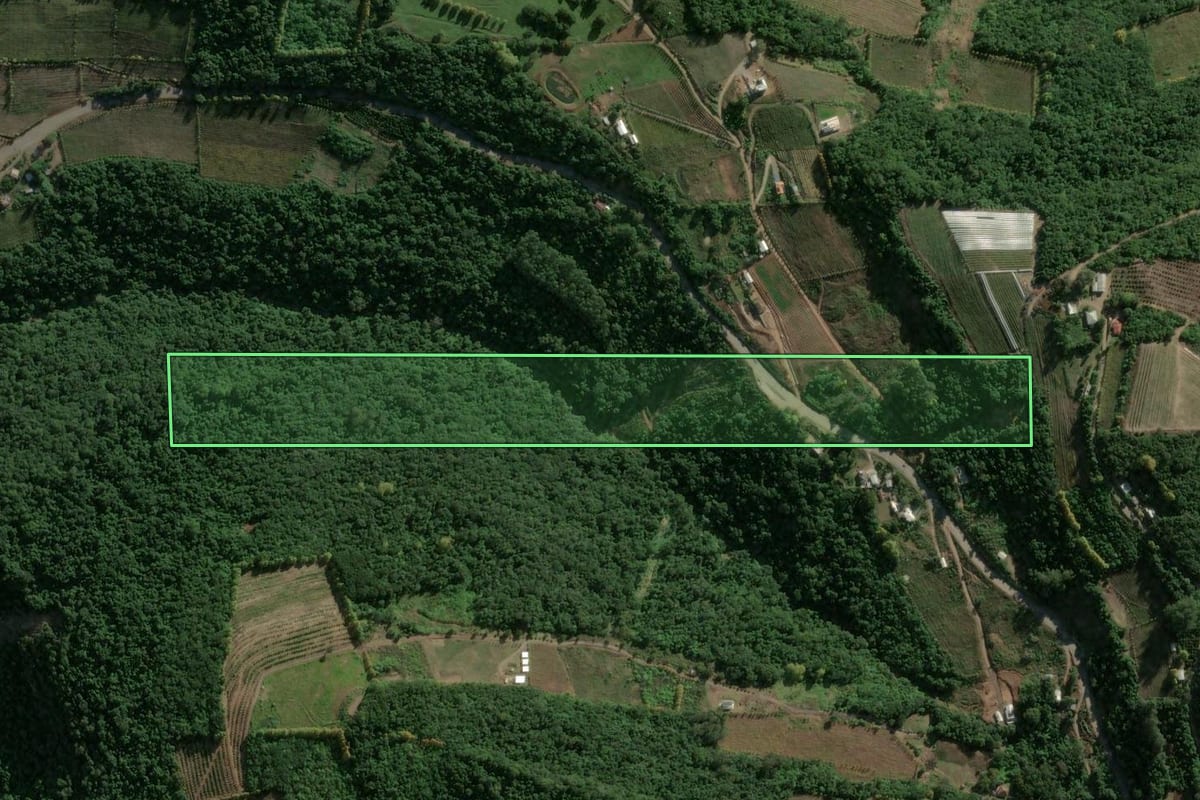 Imagem de satélite do imóvel rural em Bento Gonçalves (RS), com o contorno declarado no CAR desenhado por cima.