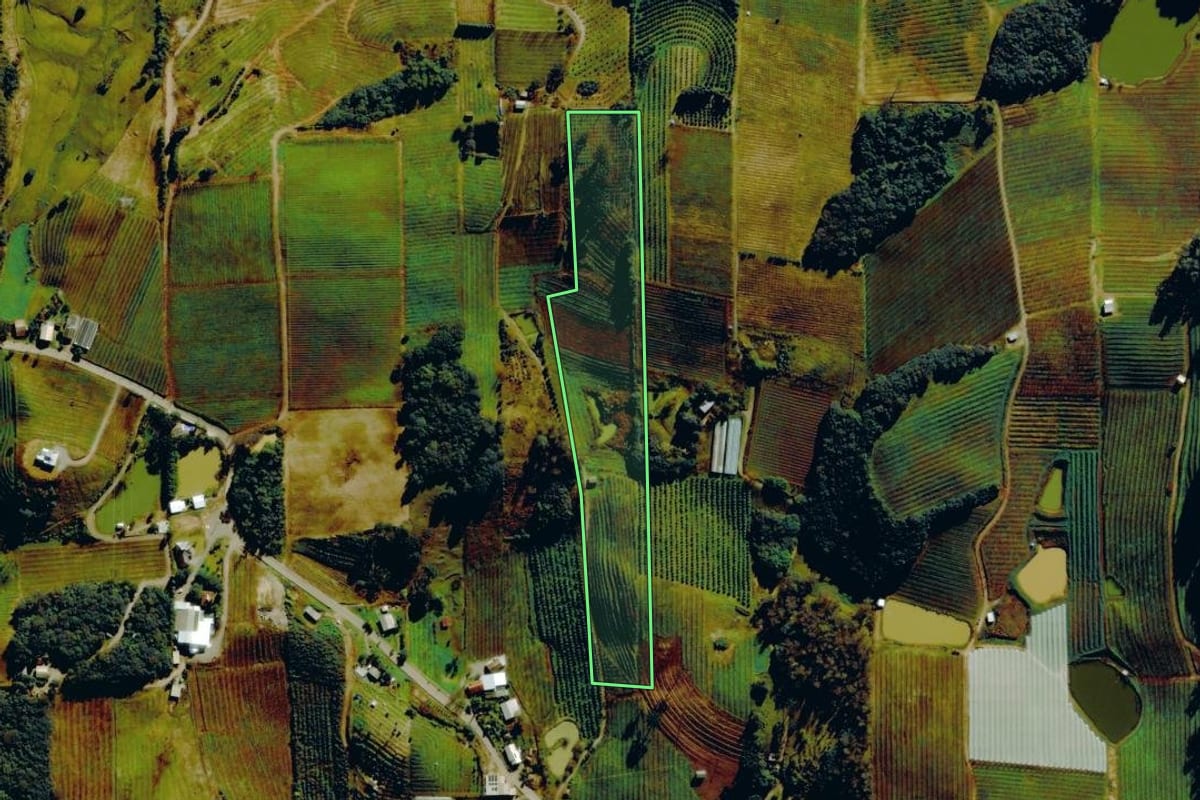 Imagem de satélite do imóvel rural em Bento Gonçalves (RS), com o contorno declarado no CAR desenhado por cima.