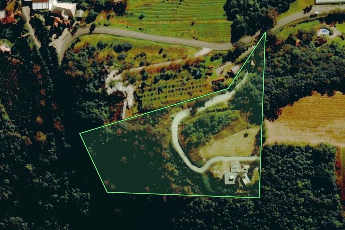 Imagem de satélite do imóvel rural em Bento Gonçalves (RS), com o contorno declarado no CAR desenhado por cima.