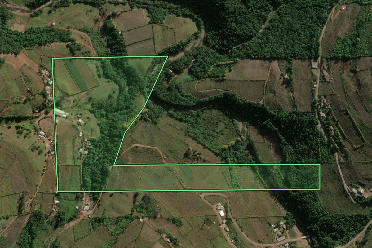 Imagem de satélite do imóvel rural em Bento Gonçalves (RS), com o contorno declarado no CAR desenhado por cima.