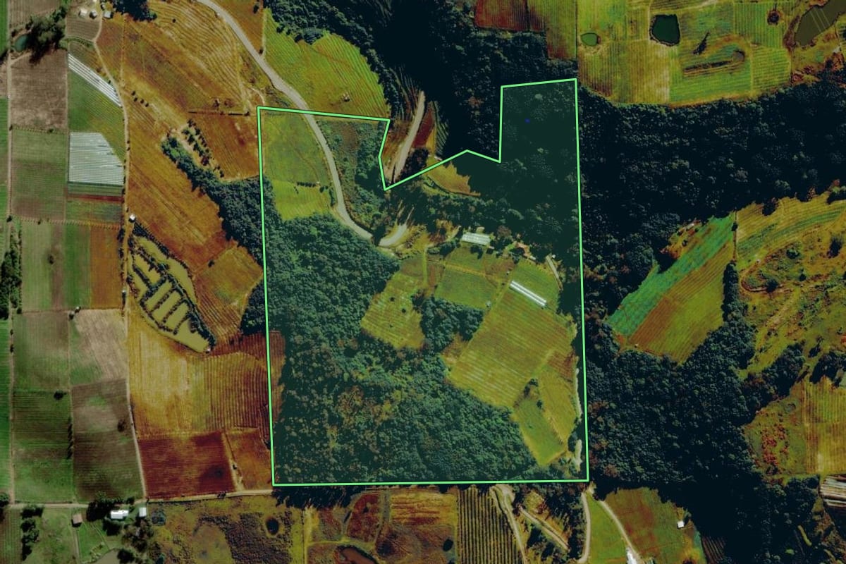 Imagem de satélite do imóvel rural em Bento Gonçalves (RS), com o contorno declarado no CAR desenhado por cima.
