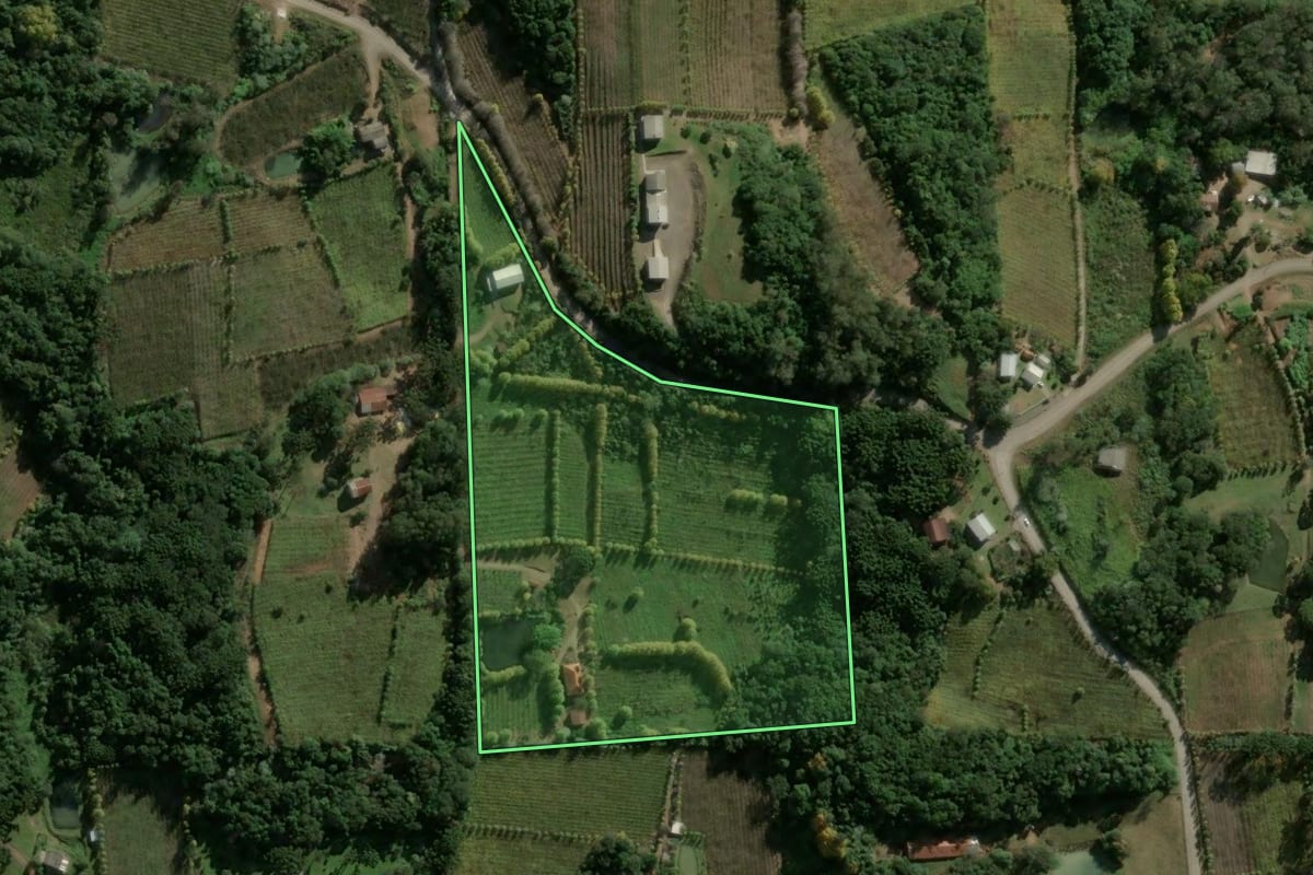 Imagem de satélite do imóvel rural em Bento Gonçalves (RS), com o contorno declarado no CAR desenhado por cima.
