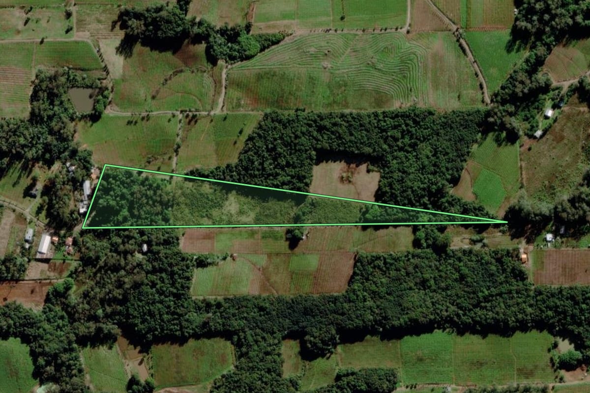 Imagem de satélite do imóvel rural em Bento Gonçalves (RS), com o contorno declarado no CAR desenhado por cima.