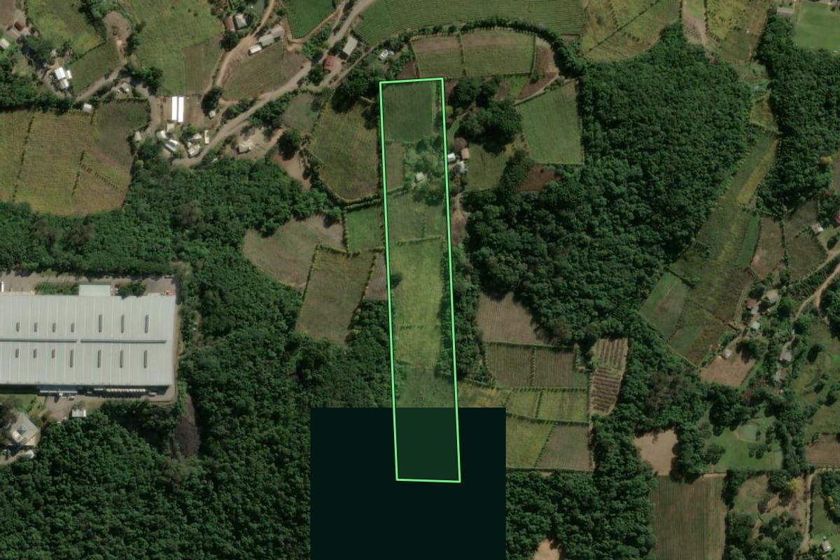 Imagem de satélite do imóvel rural em Bento Gonçalves (RS), com o contorno declarado no CAR desenhado por cima.