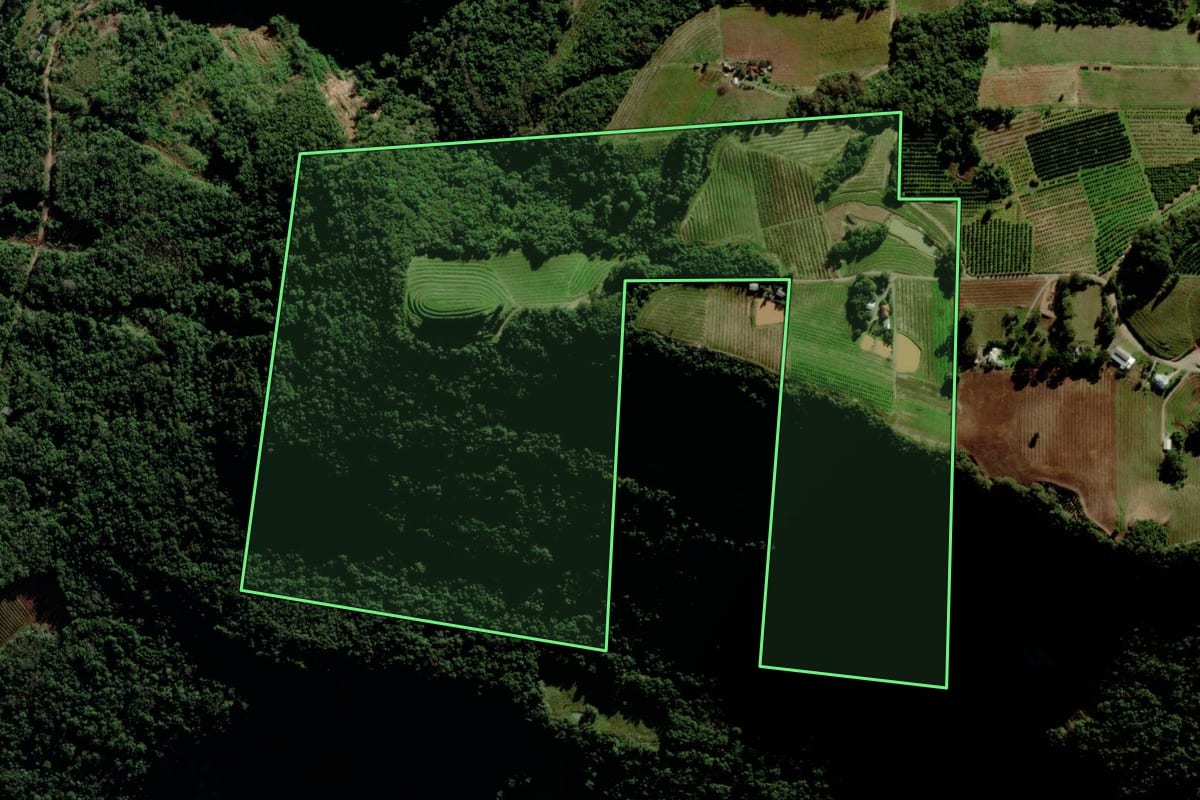 Imagem de satélite do imóvel rural em Bento Gonçalves (RS), com o contorno declarado no CAR desenhado por cima.