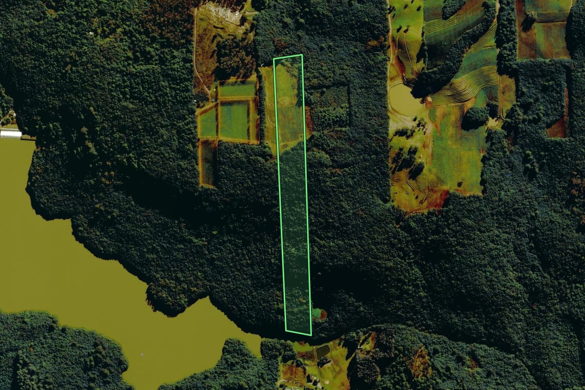 Imagem de satélite do imóvel rural em Bento Gonçalves (RS), com o contorno declarado no CAR desenhado por cima.