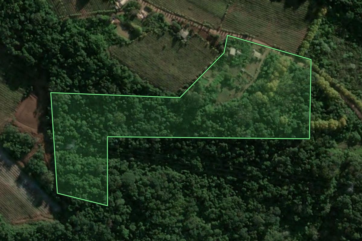 Imagem de satélite do imóvel rural em Bento Gonçalves (RS), com o contorno declarado no CAR desenhado por cima.