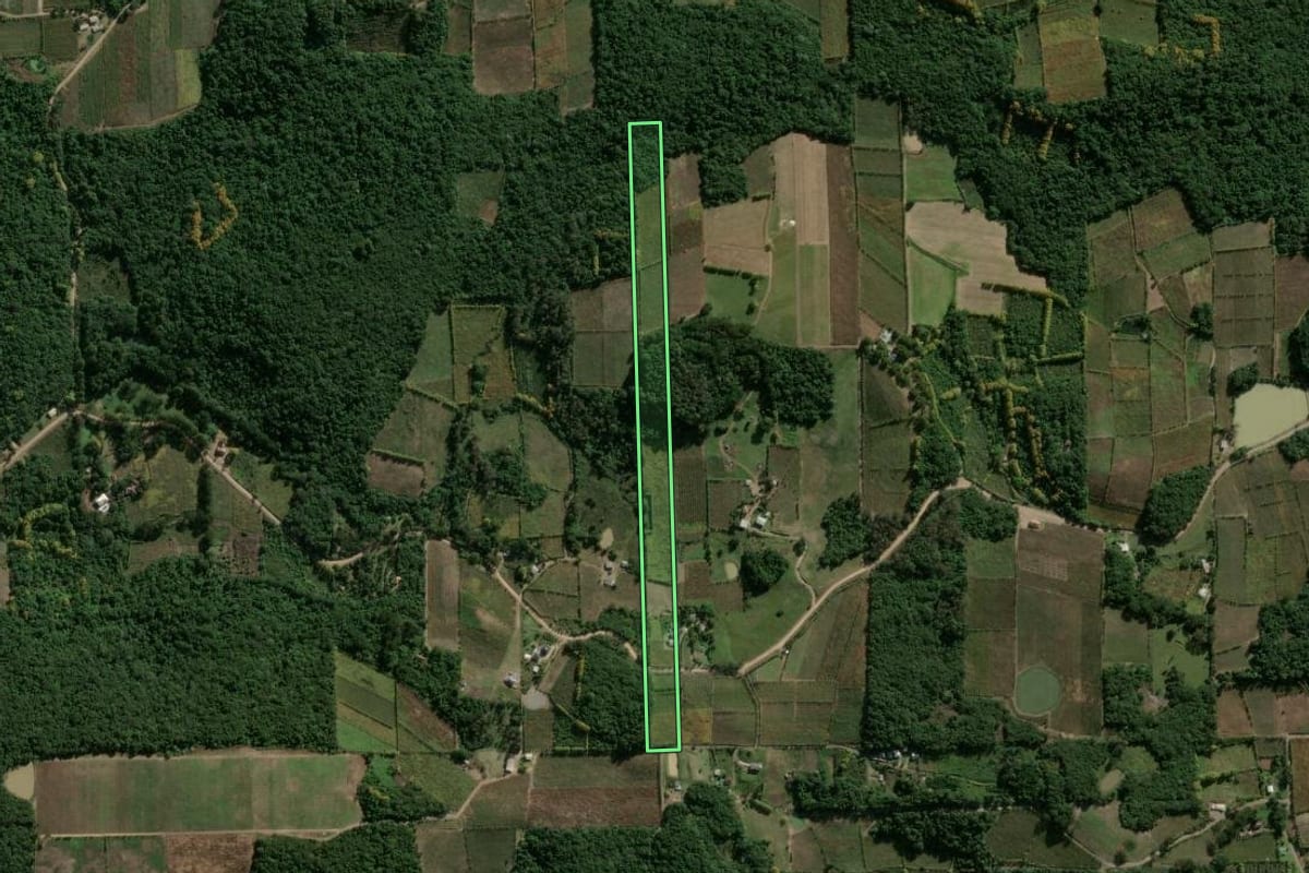 Imagem de satélite do imóvel rural em Bento Gonçalves (RS), com o contorno declarado no CAR desenhado por cima.