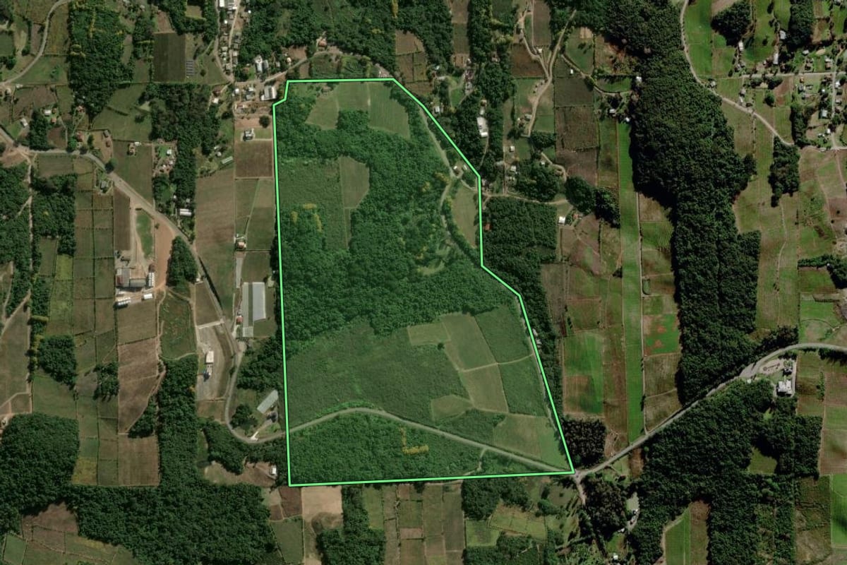 Imagem de satélite do imóvel rural em Bento Gonçalves (RS), com o contorno declarado no CAR desenhado por cima.