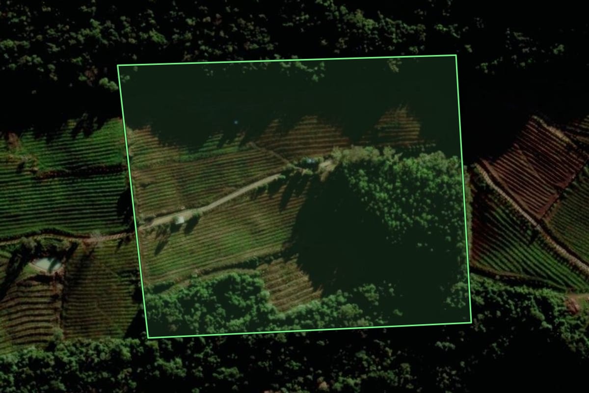 Imagem de satélite do imóvel rural em Bento Gonçalves (RS), com o contorno declarado no CAR desenhado por cima.