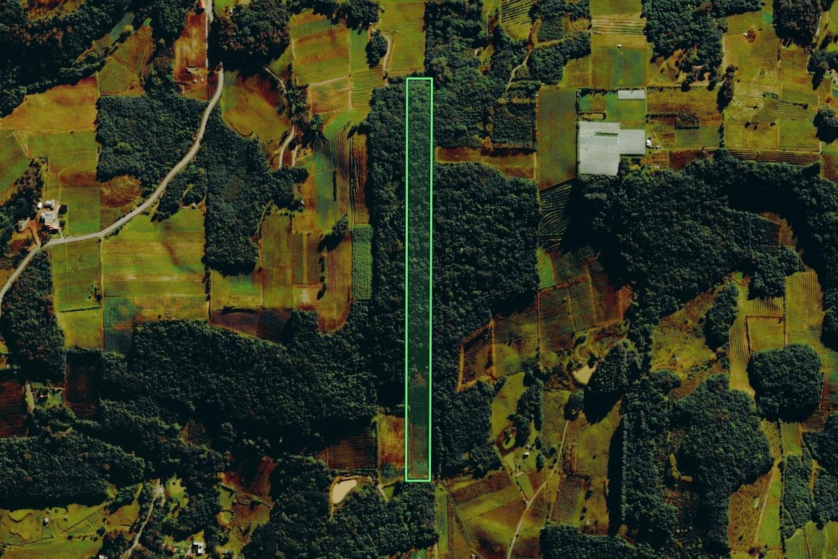 Imagem de satélite do imóvel rural em Bento Gonçalves (RS), com o contorno declarado no CAR desenhado por cima.