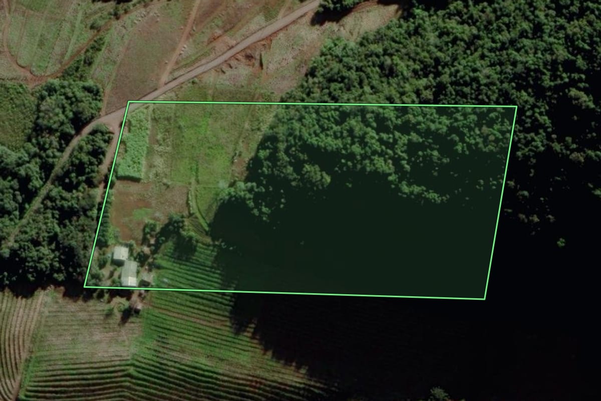 Imagem de satélite do imóvel rural em Bento Gonçalves (RS), com o contorno declarado no CAR desenhado por cima.