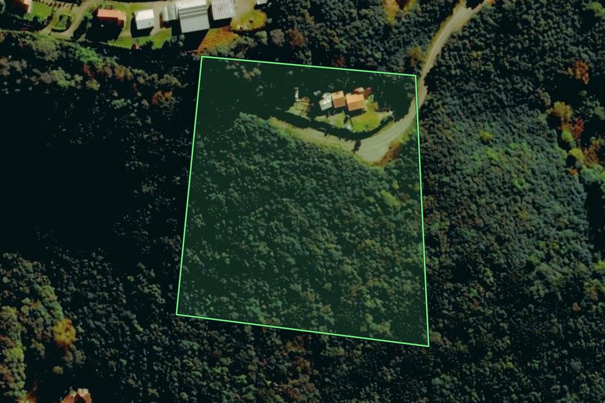 Imagem de satélite do imóvel rural em Bento Gonçalves (RS), com o contorno declarado no CAR desenhado por cima.