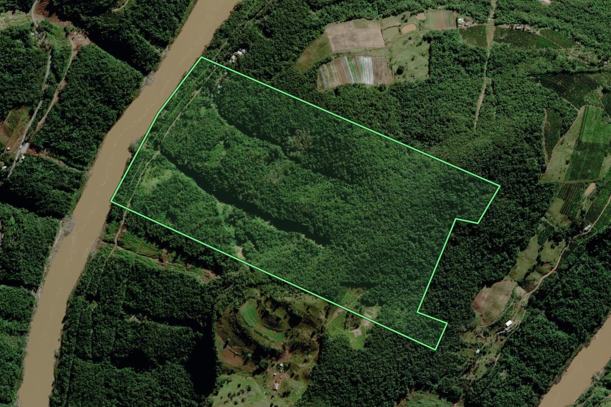 Imagem de satélite do imóvel rural em Bento Gonçalves (RS), com o contorno declarado no CAR desenhado por cima.
