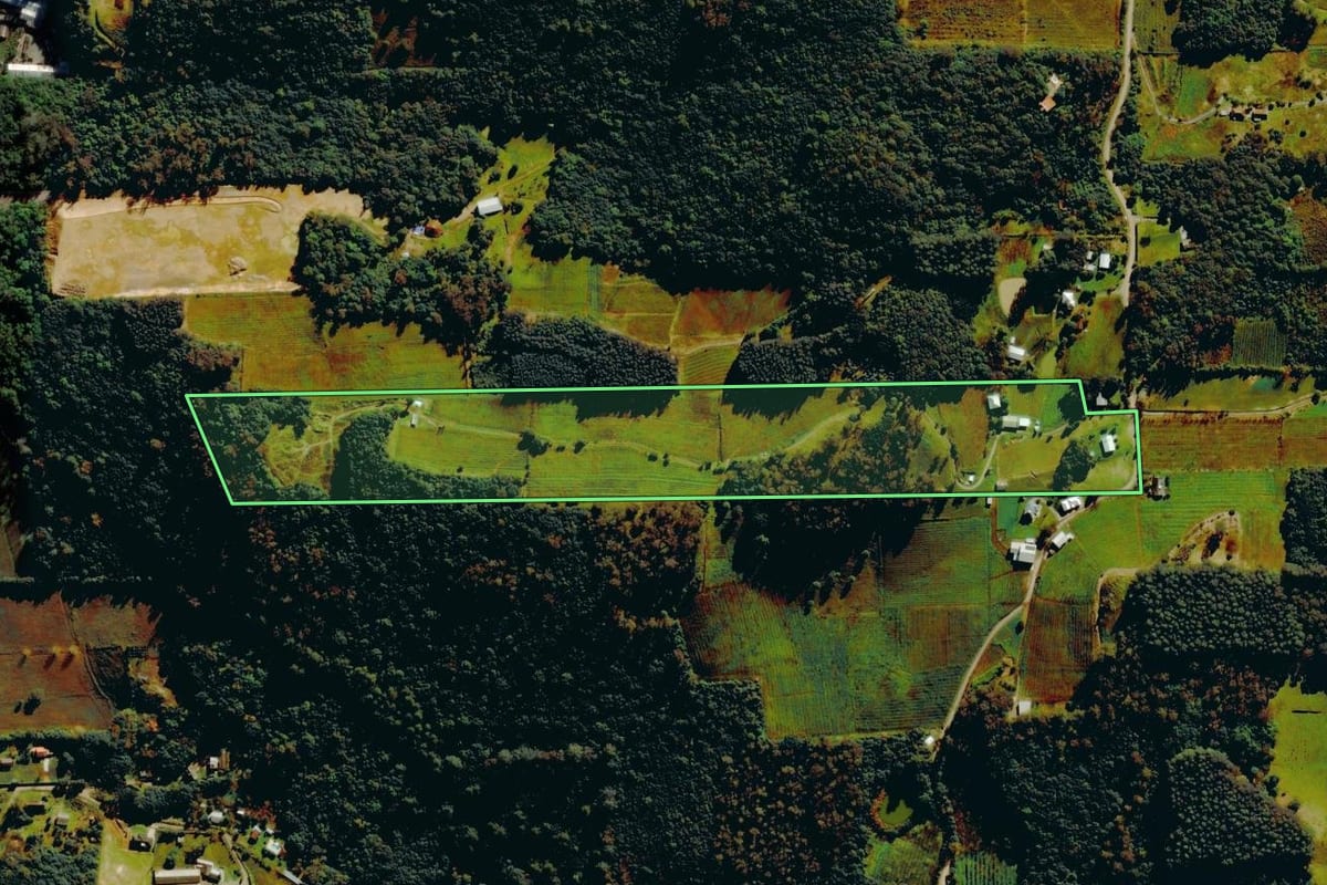 Imagem de satélite do imóvel rural em Bento Gonçalves (RS), com o contorno declarado no CAR desenhado por cima.