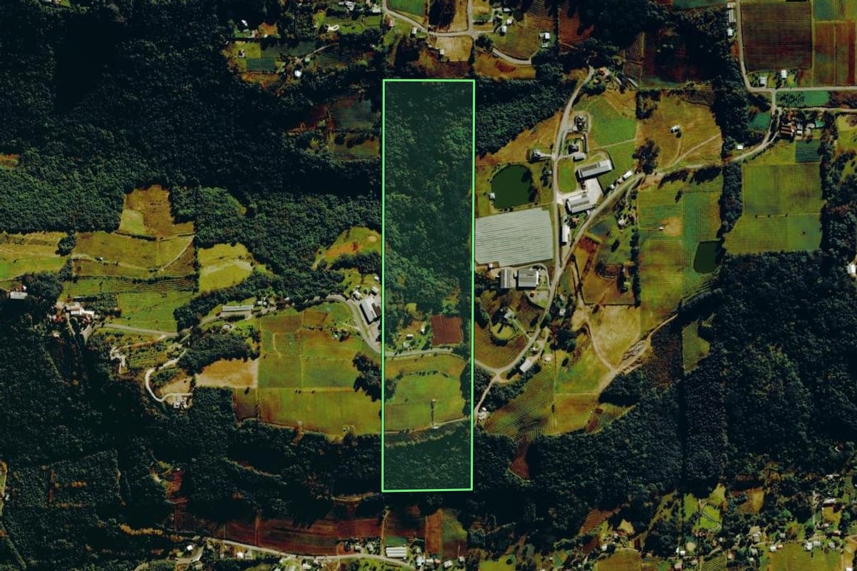 Imagem de satélite do imóvel rural em Bento Gonçalves (RS), com o contorno declarado no CAR desenhado por cima.