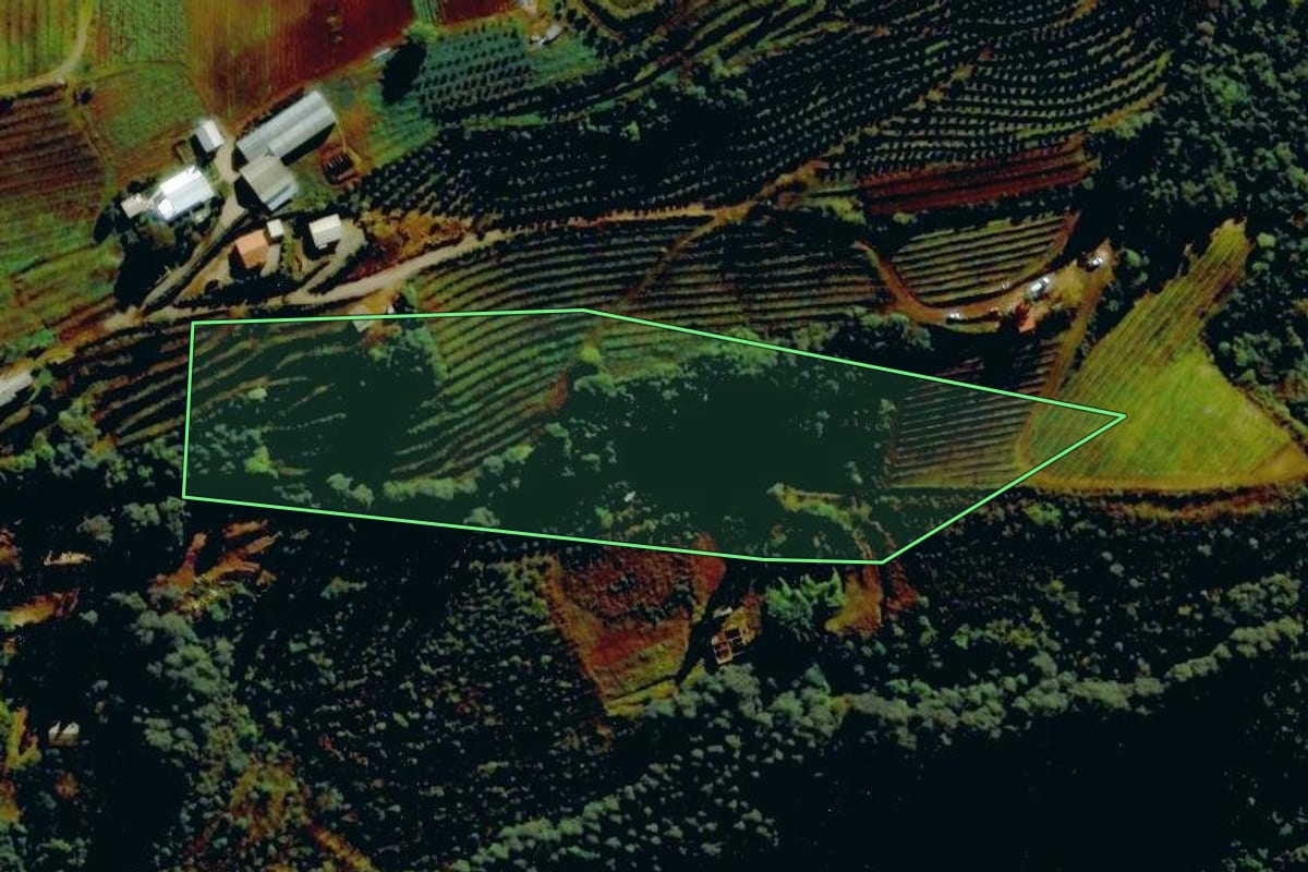 Imagem de satélite do imóvel rural em Pinto Bandeira (RS), com o contorno declarado no CAR desenhado por cima.