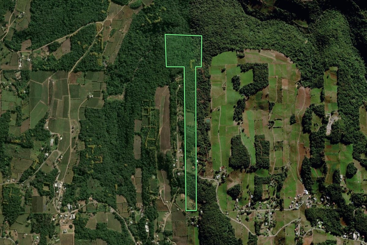 Imagem de satélite do imóvel rural em Bento Gonçalves (RS), com o contorno declarado no CAR desenhado por cima.
