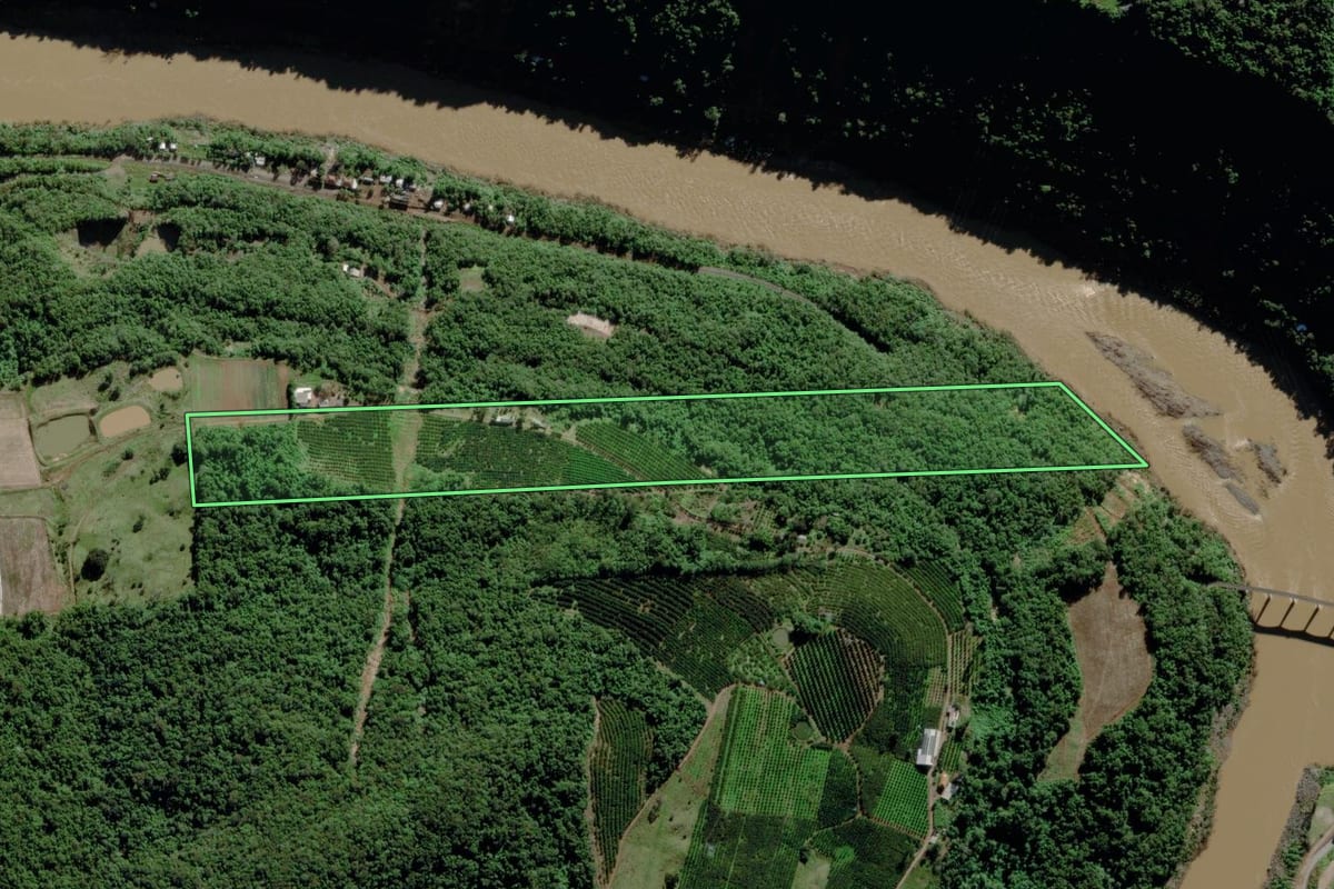 Imagem de satélite do imóvel rural em Bento Gonçalves (RS), com o contorno declarado no CAR desenhado por cima.