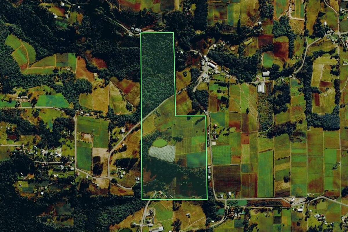 Imagem de satélite do imóvel rural em Pinto Bandeira (RS), com o contorno declarado no CAR desenhado por cima.