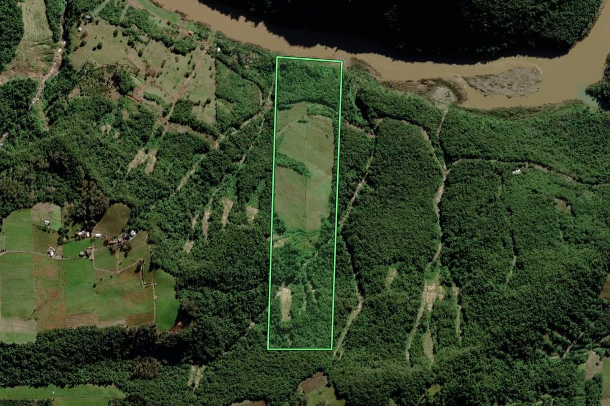 Imagem de satélite do imóvel rural em Bento Gonçalves (RS), com o contorno declarado no CAR desenhado por cima.