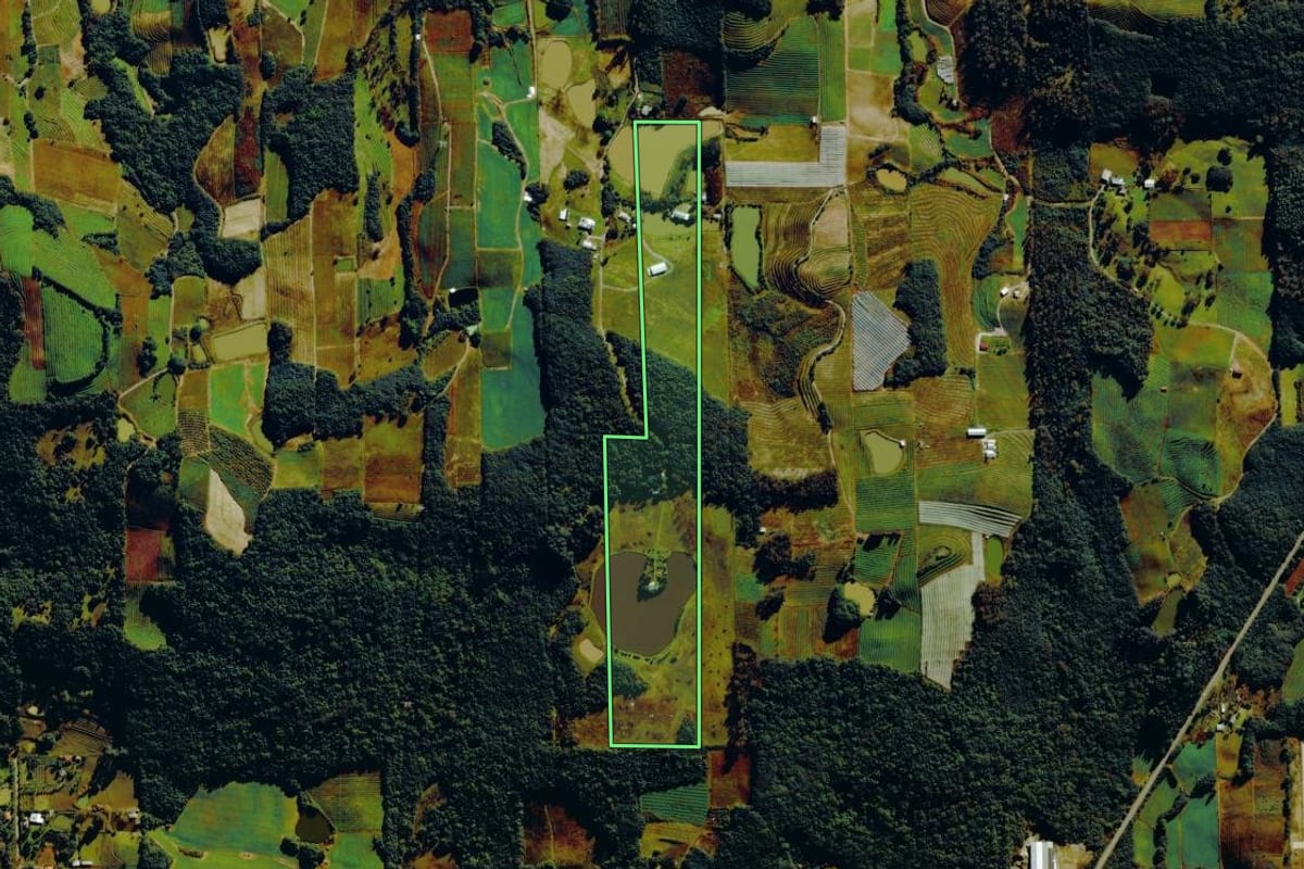 Imagem de satélite do imóvel rural em Bento Gonçalves (RS), com o contorno declarado no CAR desenhado por cima.