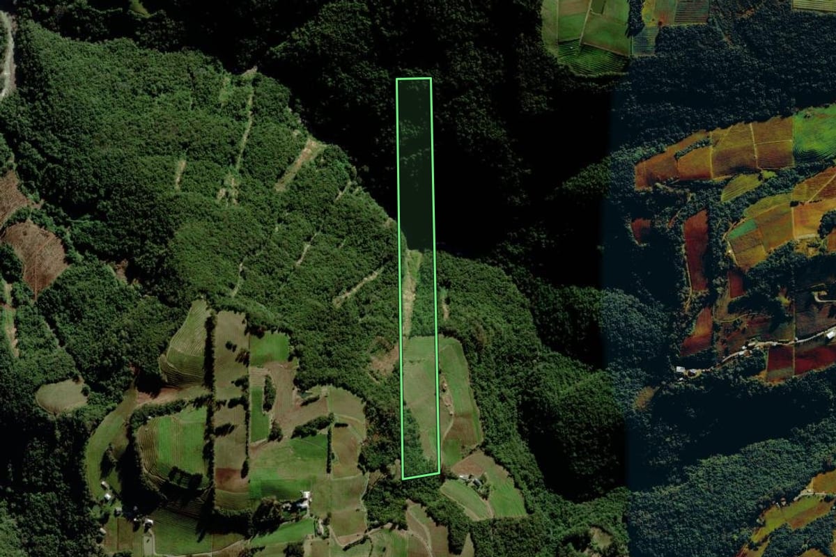 Imagem de satélite do imóvel rural em Pinto Bandeira (RS), com o contorno declarado no CAR desenhado por cima.