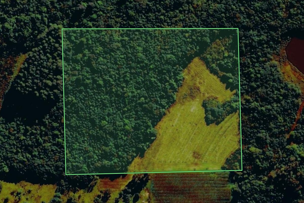 Imagem de satélite do imóvel rural em Bento Gonçalves (RS), com o contorno declarado no CAR desenhado por cima.