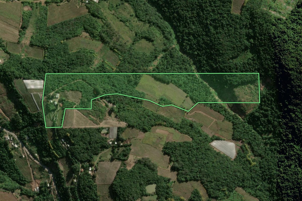 Imagem de satélite do imóvel rural em Bento Gonçalves (RS), com o contorno declarado no CAR desenhado por cima.