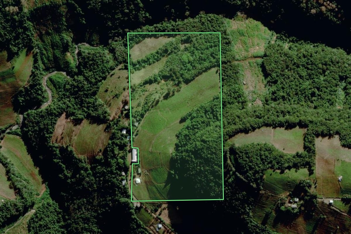 Imagem de satélite do imóvel rural em Bento Gonçalves (RS), com o contorno declarado no CAR desenhado por cima.