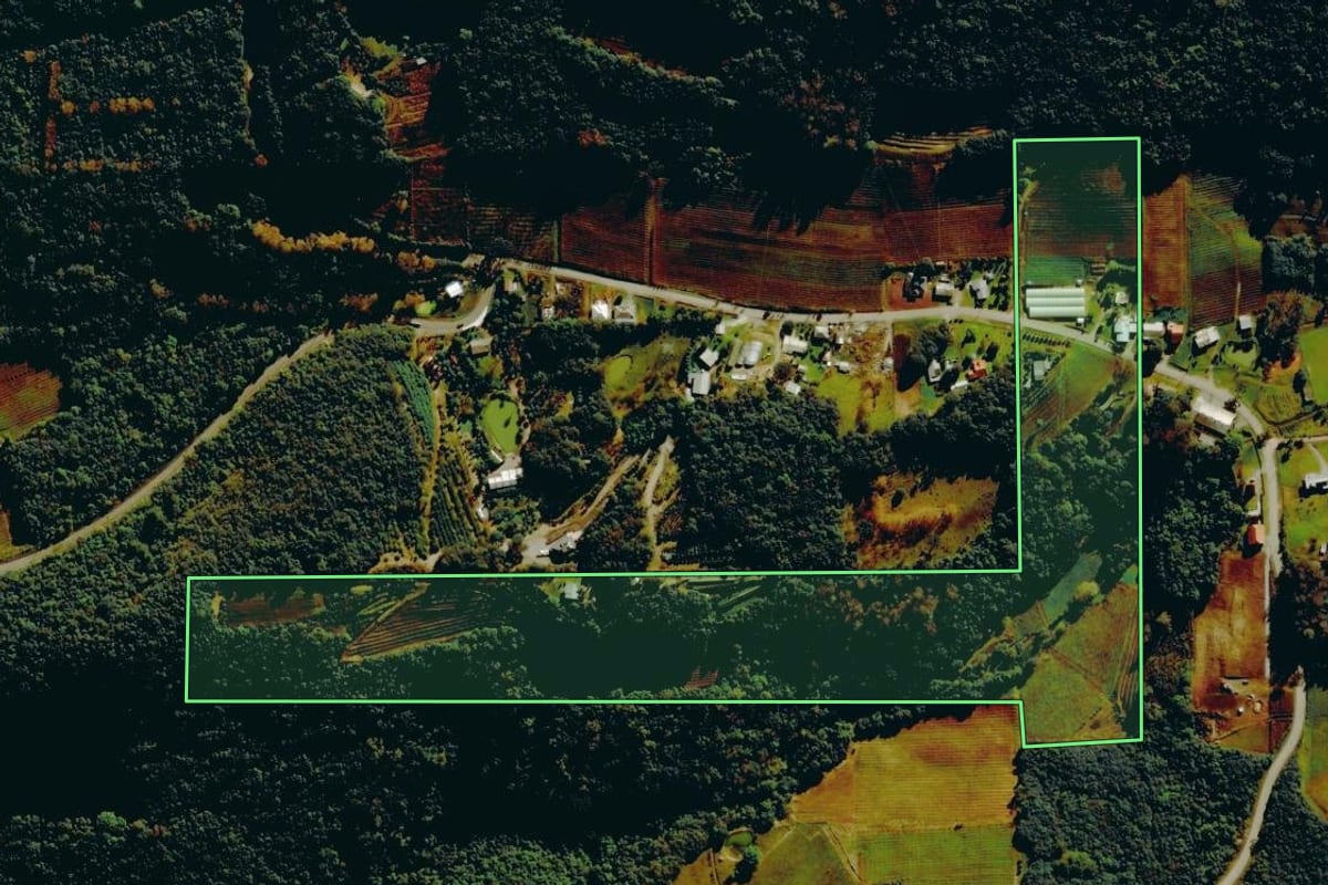 Imagem de satélite do imóvel rural em Bento Gonçalves (RS), com o contorno declarado no CAR desenhado por cima.