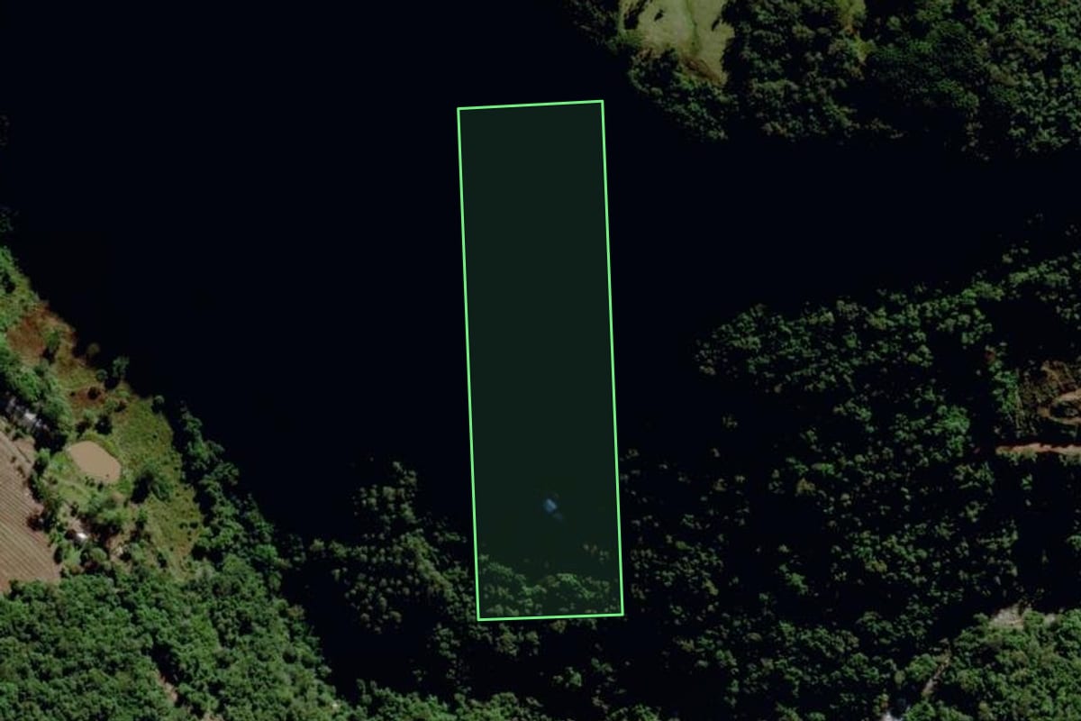 Imagem de satélite do imóvel rural em Bento Gonçalves (RS), com o contorno declarado no CAR desenhado por cima.