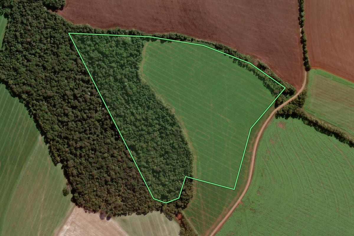 Imagem de satélite do imóvel rural em Boa Vista das Missões (RS), com o contorno declarado no CAR desenhado por cima.