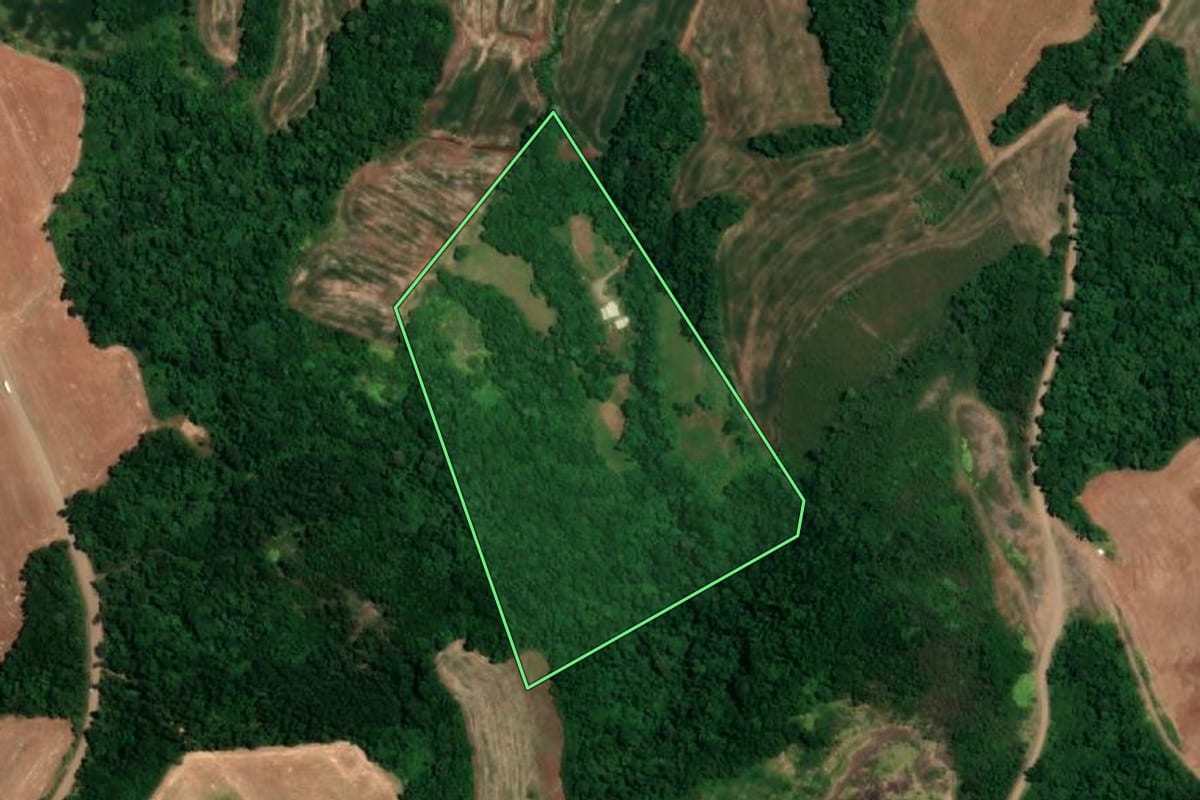 Imagem de satélite do imóvel rural em Boa Vista do Buricá (RS), com o contorno declarado no CAR desenhado por cima.