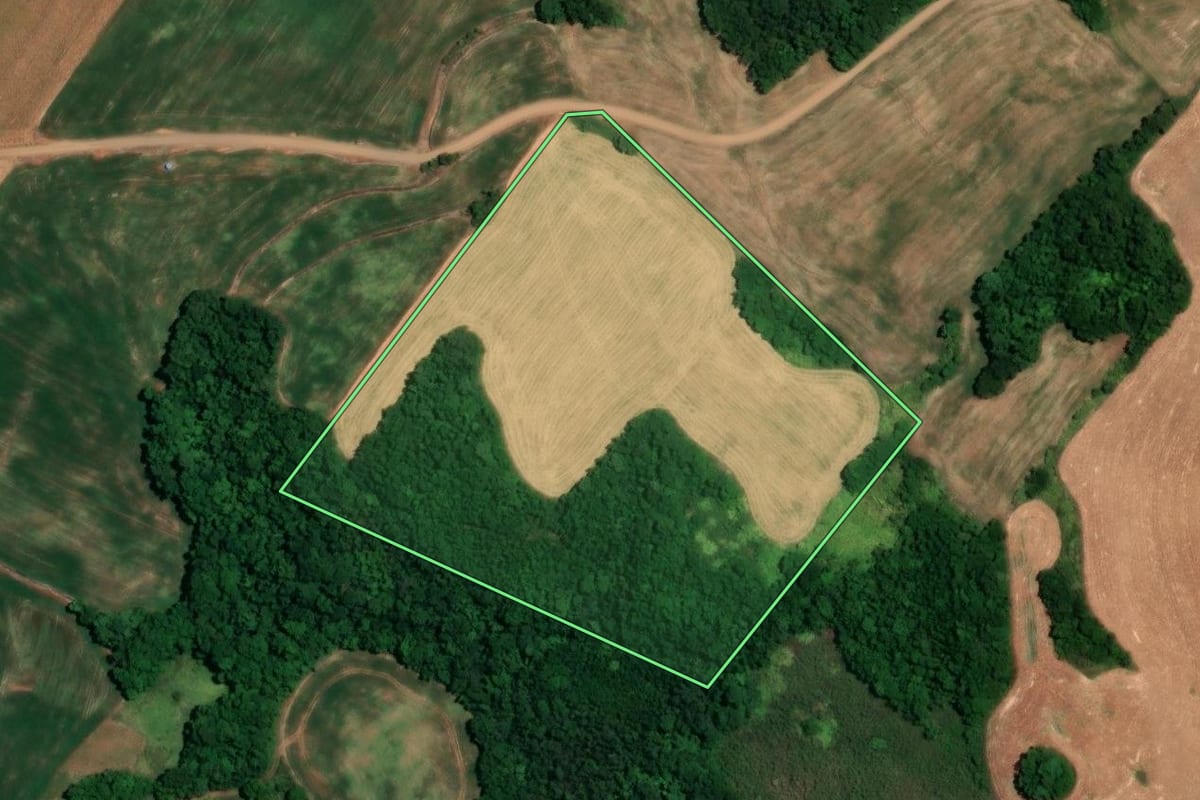 Imagem de satélite do imóvel rural em Boa Vista do Buricá (RS), com o contorno declarado no CAR desenhado por cima.