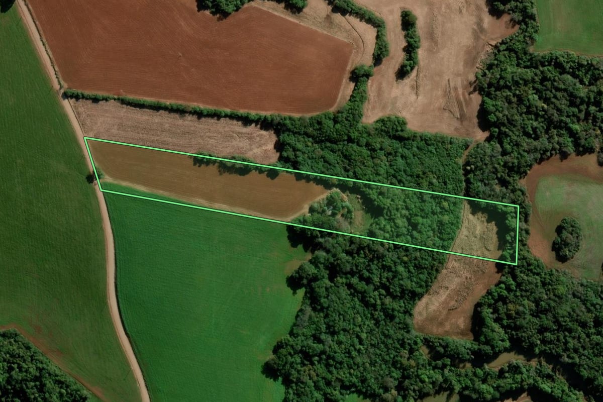 Imagem de satélite do imóvel rural em Boa Vista do Cadeado (RS), com o contorno declarado no CAR desenhado por cima.